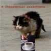 Young Masha memes 9