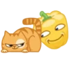 Sadistic Cat 11