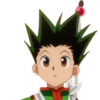 Hunter x hunter 19
