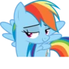 MLP - Rainbow Dash 11