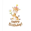 Happy Birthday 🎂🥳🎉 13