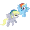 MLP - Rainbow Dash 14
