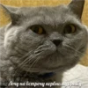 Young Masha memes 12