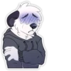 Matty Panda 18