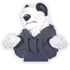 Matty Panda 21