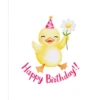 Happy Birthday 🎂🥳🎉 17