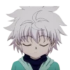 Hunter x hunter 23