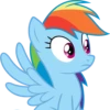 MLP - Rainbow Dash 17
