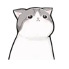 котики by 17