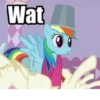 MLP - Rainbow Dash 19
