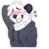 Matty Panda 24