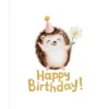 Happy Birthday 🎂🥳🎉 22