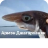 ЧYрки, [пак @Robo_Kit и 22