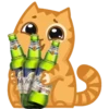 Sadistic Cat 21