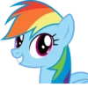 MLP - Rainbow Dash 25