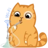 Sadistic Cat 22