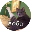 Young Masha memes 18