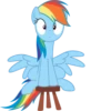 MLP - Rainbow Dash 29