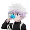 Hunter x hunter 29