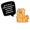 M for Memes ? 5