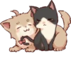 dog&cat couple 5