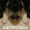 Trip Chat stickers pack 6