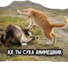 Trip Chat stickers pack 7