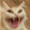 Gatitos 5
