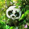 pandas 8