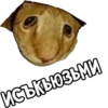 Trip Chat stickers pack 8