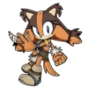 Sonic • 12