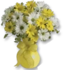 Flowers for my girl @stickerus 6