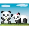 pandas 13