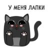 У МЕНЯ ЛАПКИ