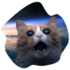Space Cats 10