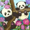 pandas 15
