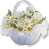 Flowers for my girl @stickerus 8