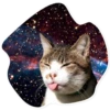 Space Cats 12
