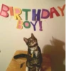 cats^2 12
