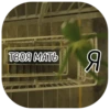 M for Memes ? 17