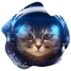 Space Cats 14