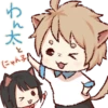 dog&cat couple 17