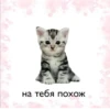 лYчшие пикчи —-> 5