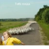 Gaga 15