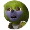 M for Memes ? 19