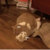 лYчшие пикчи —-> 8