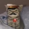 Создать Стикеры | 8