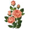 Flowers for my girl @stickerus 13
