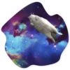 Space Cats 20
