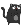 BlackCyberCat 16